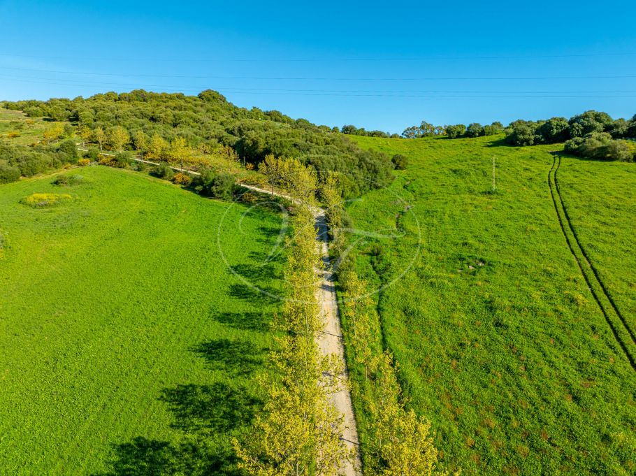 Luxury Country Property, Hilltop Paradise, Jimena de La Frontera