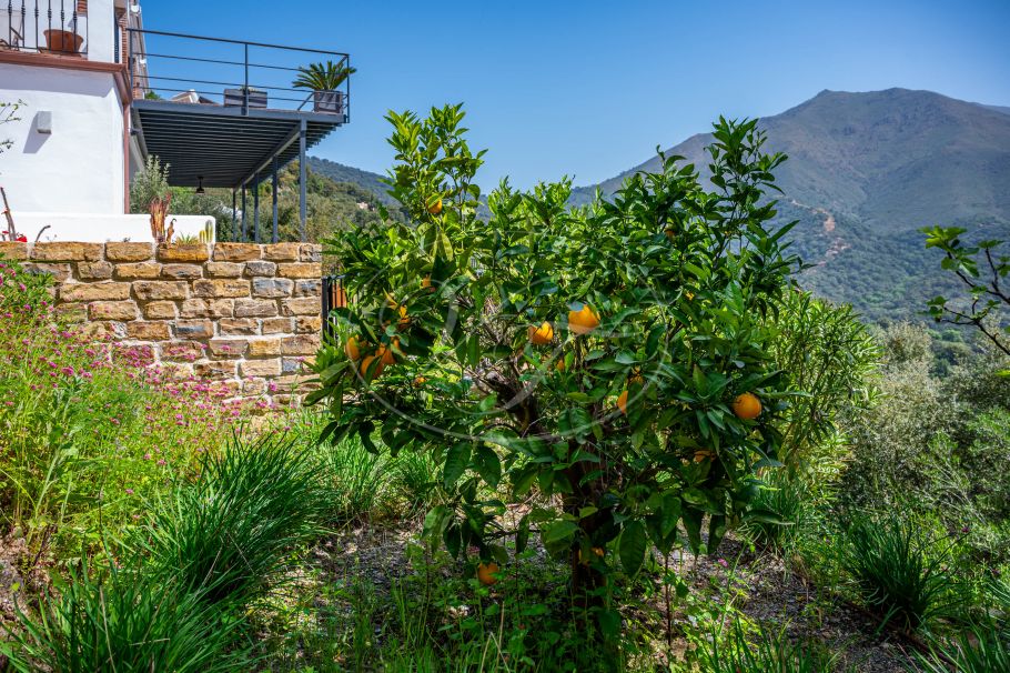 Casa de campo completamente renovada con espectaculares vistas al mar, Casares