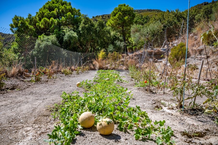Finca mit Gästehaus und Meerblick, Casares