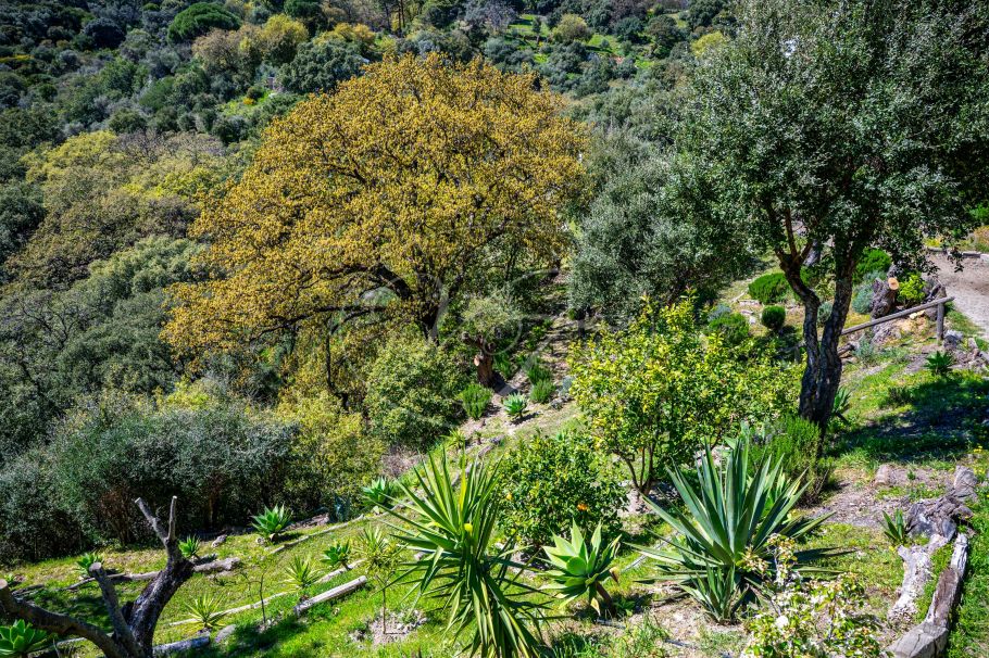 Chalet rural con vistas espectaculares, Casares