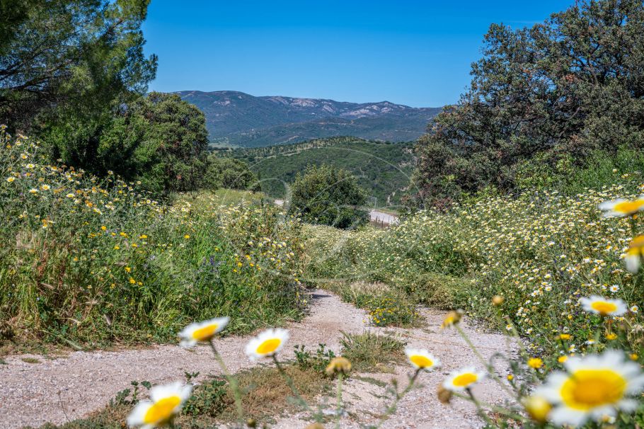 Casa de campo con casa de invitados, Gaucin