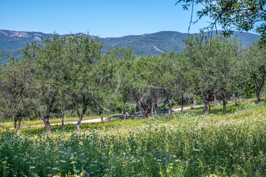 Casa de campo con casa de invitados, Gaucin