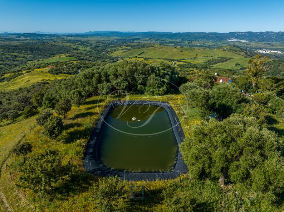 Casa de campo con casa de invitados, Gaucin