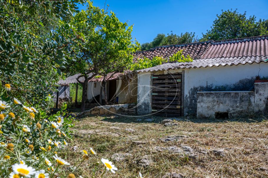 Casa de campo con casa de invitados, Gaucin