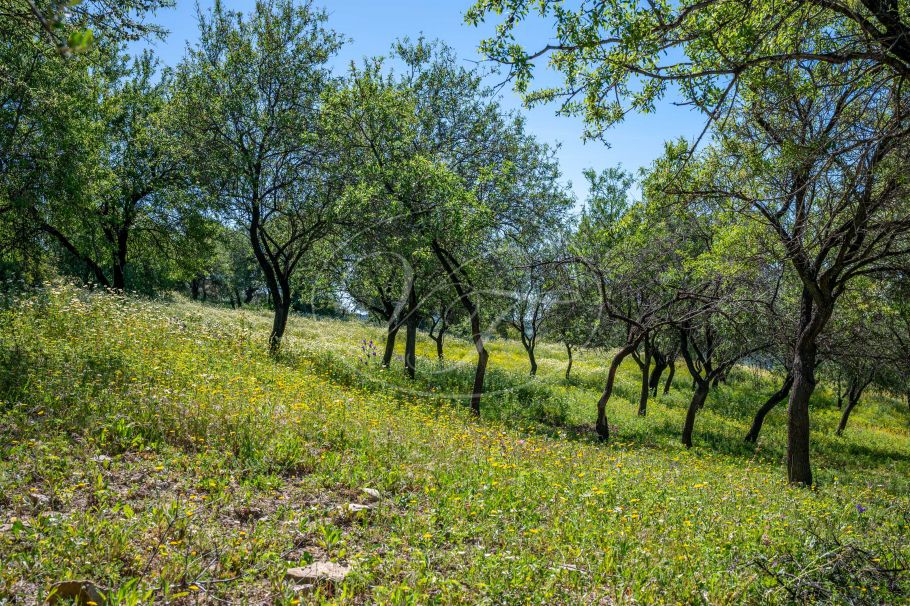 Casa de campo con casa de invitados, Gaucin