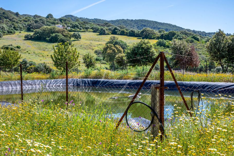 Casa de campo con casa de invitados, Gaucin