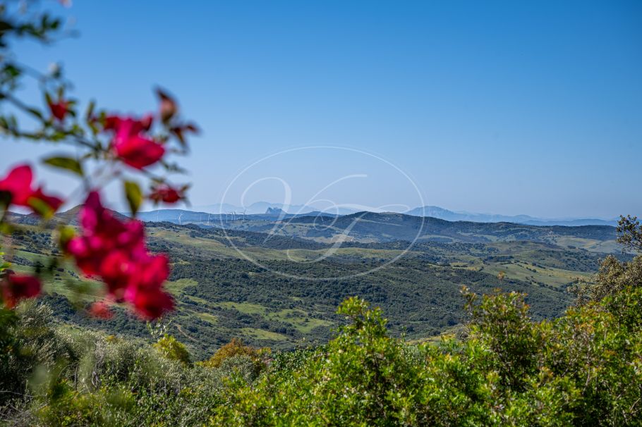 Casa de campo con casa de invitados, Gaucin