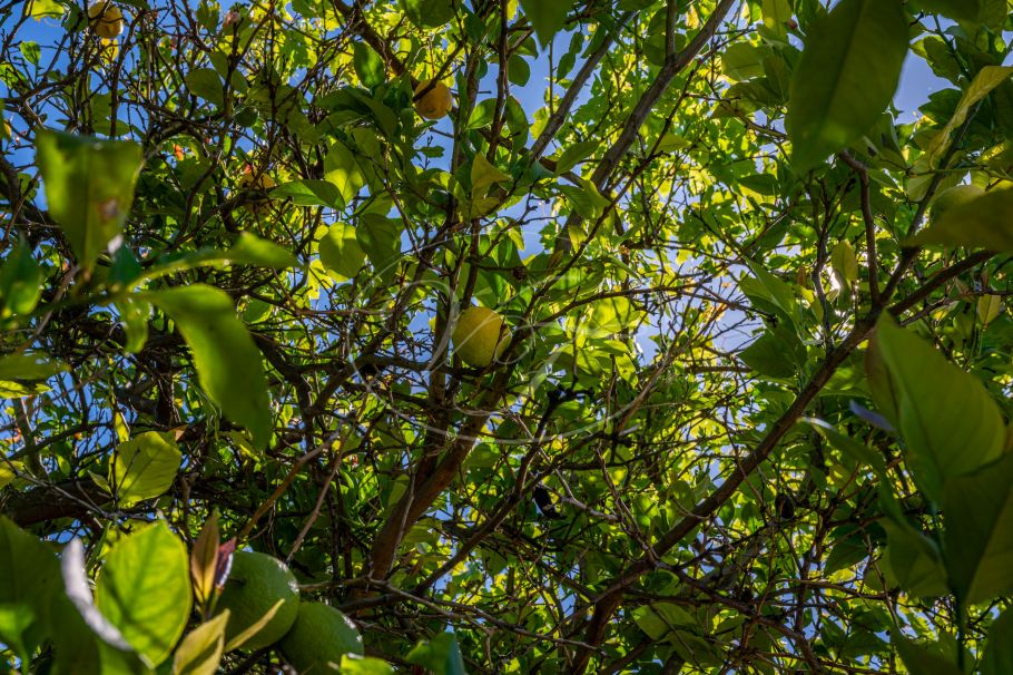 Casa de campo con casa de invitados, Gaucin