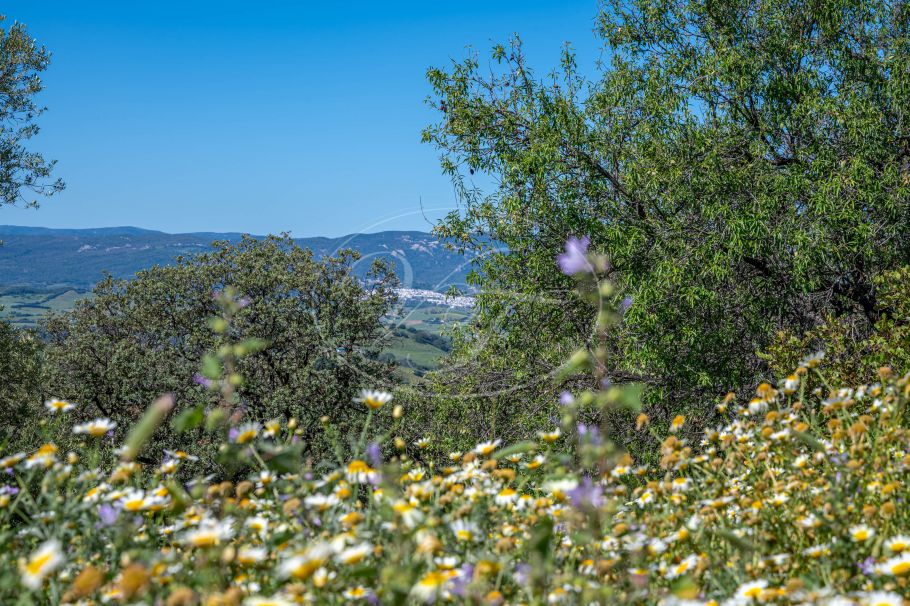 Casa de campo con casa de invitados, Gaucin