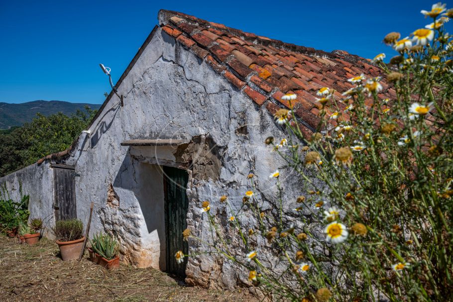 Casa de campo con casa de invitados, Gaucin