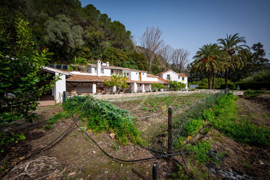 Historic mill for sale with Avocado Plantation, Casares