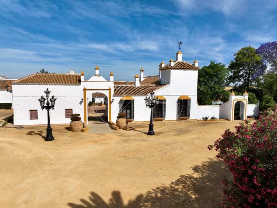 Hacienda con olivar e instalaciones ecuestres, Sevilla