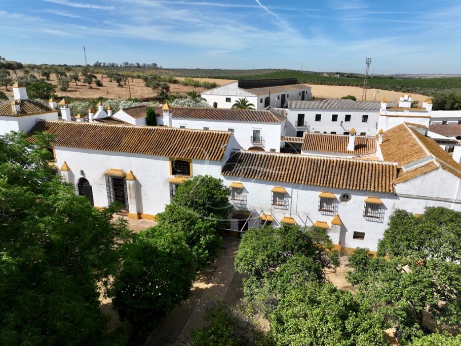 Estate with olive grove and equestrian facilities, Seville
