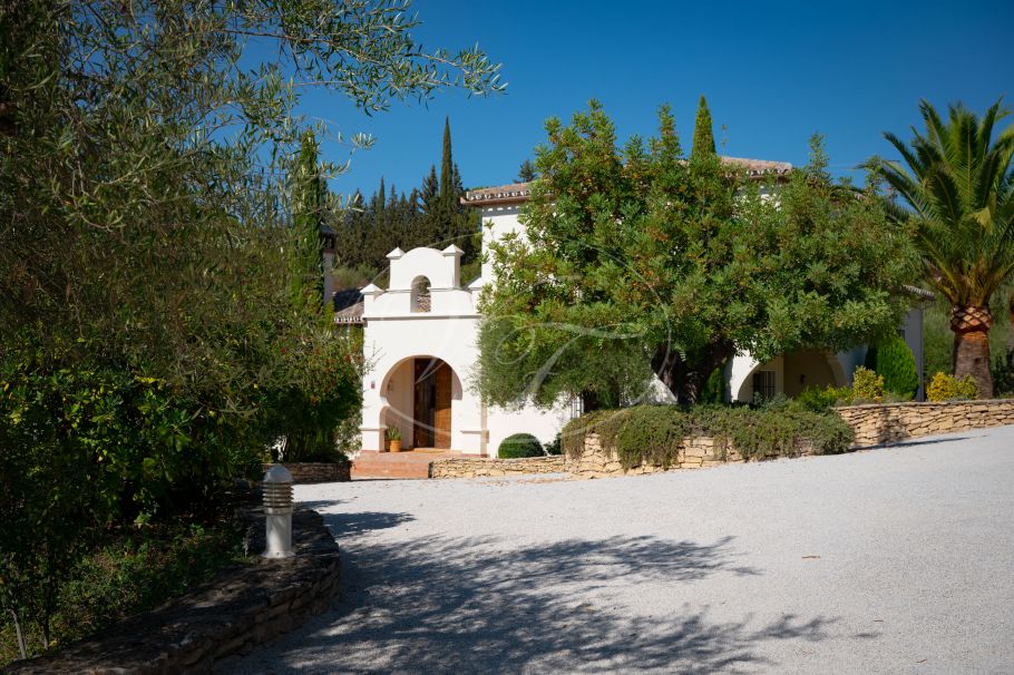 Andalusisches Landhaus mit Olivenhain , Ronda