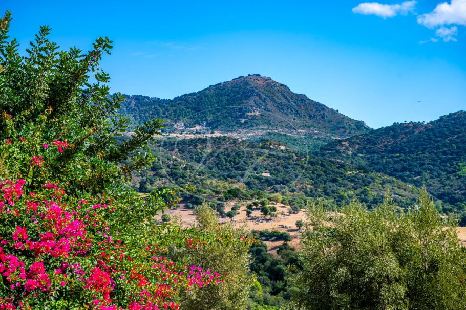 Landhaus in Cortijo-Stil, Gaucin