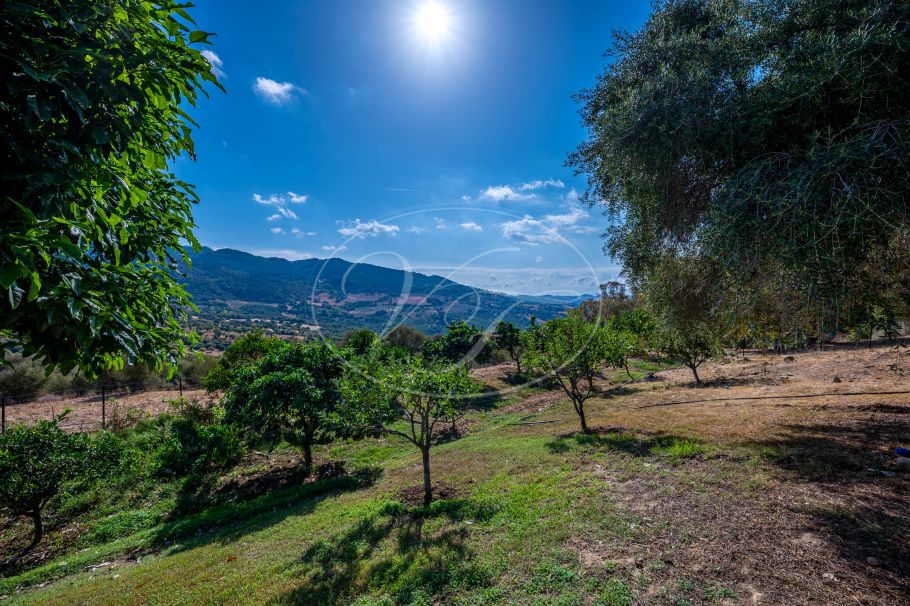 Landhaus in Cortijo-Stil, Gaucin