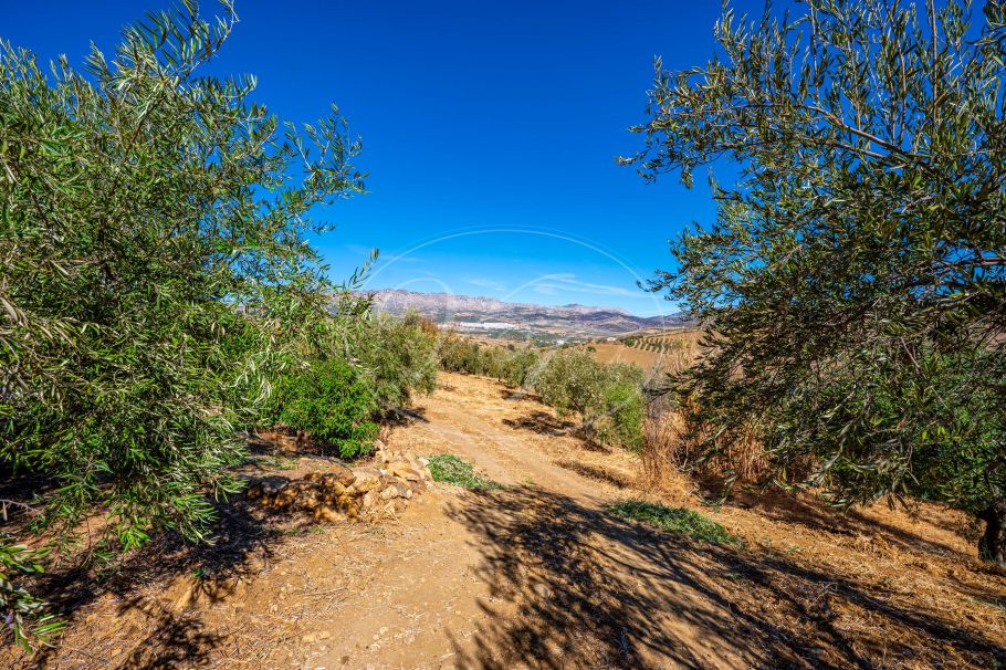 Uniek landhuis met zicht op El Torcal, Villanueva de la Concepción