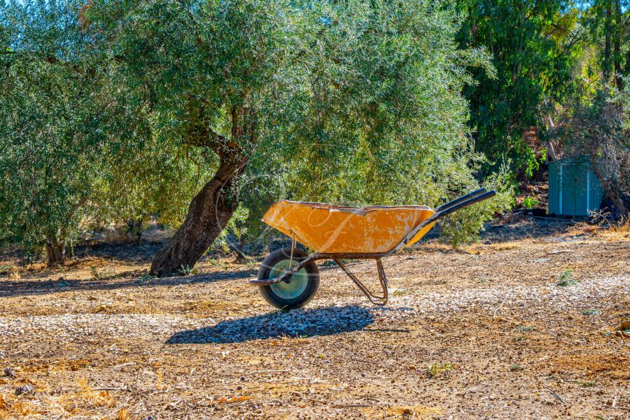 Uniek landhuis met zicht op El Torcal, Villanueva de la Concepción