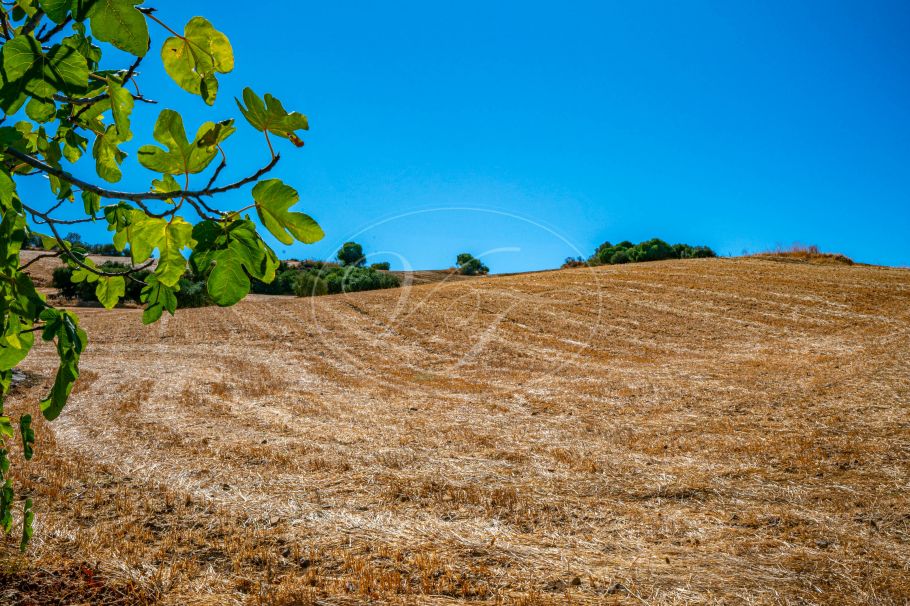 Uniek landhuis met zicht op El Torcal, Villanueva de la Concepción