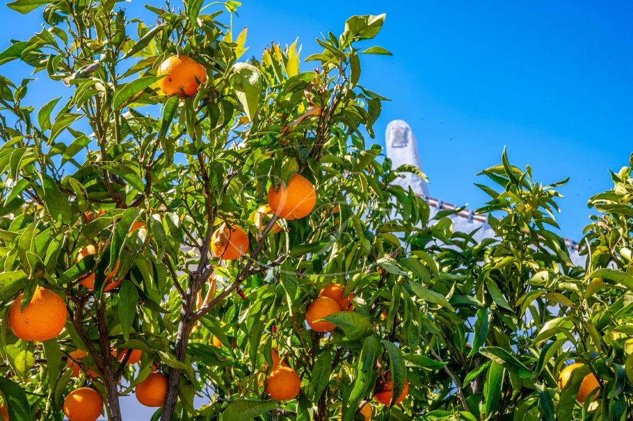 Uniek landhuis met zicht op El Torcal, Villanueva de la Concepción