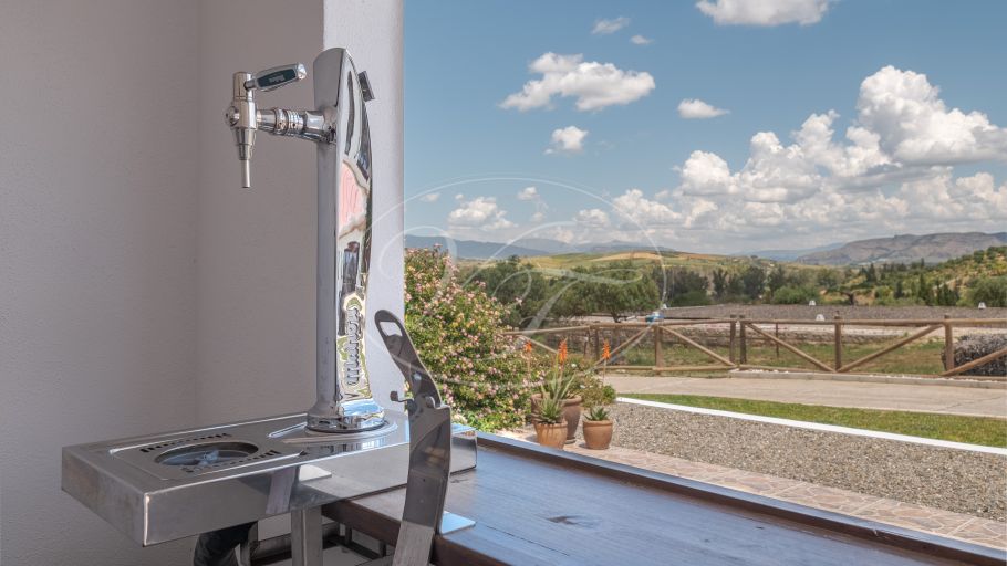Luxurious Andalusian equestrian estate with separate guesthouse, Coin