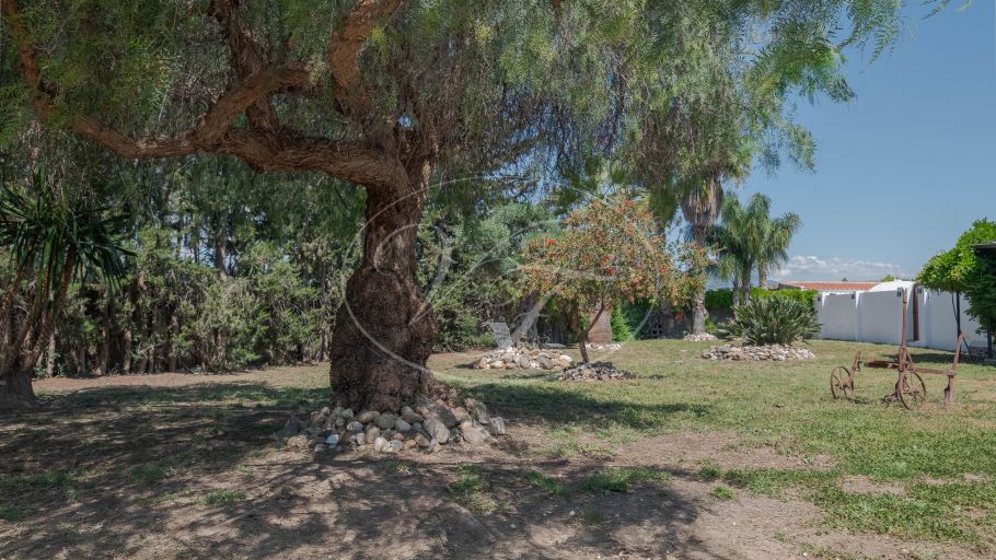 Luxurious Andalusian equestrian estate with separate guesthouse, Coin