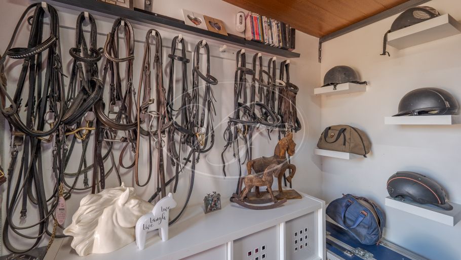 Luxurious Andalusian equestrian estate with separate guesthouse, Coin