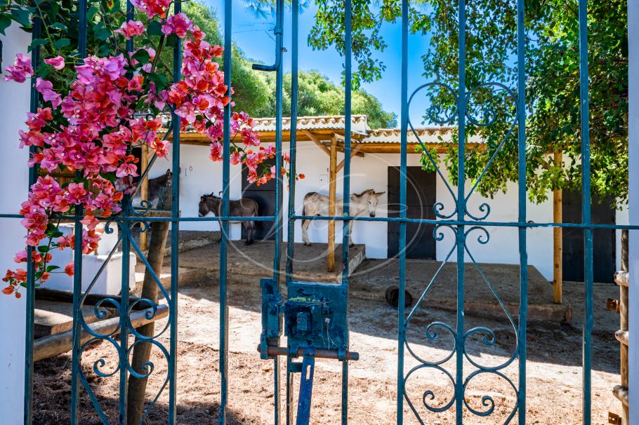 Chalet reformado con establos y amplia parcela, San Roque