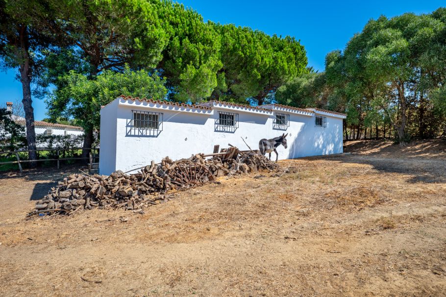 Chalet reformado con establos y amplia parcela, San Roque