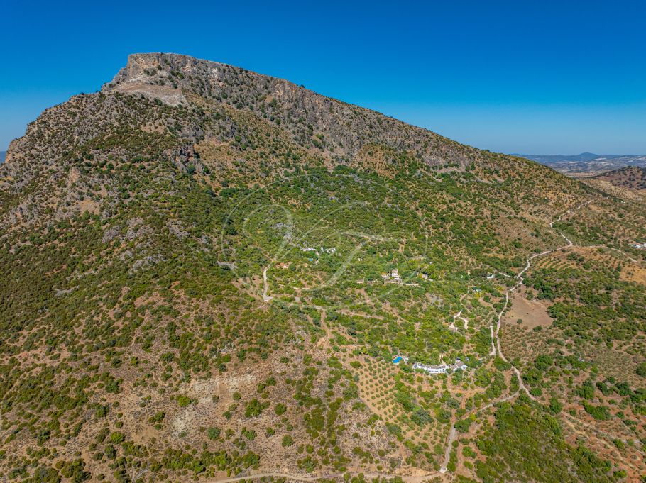 Stunning cortijo with Guest Houses and Rental Opportunity, Ronda