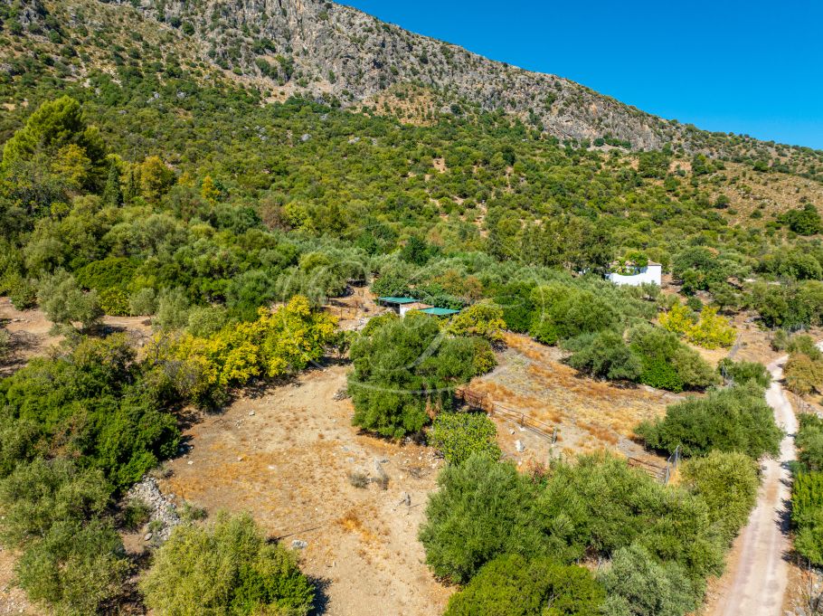 Stunning cortijo with Guest Houses and Rental Opportunity, Ronda