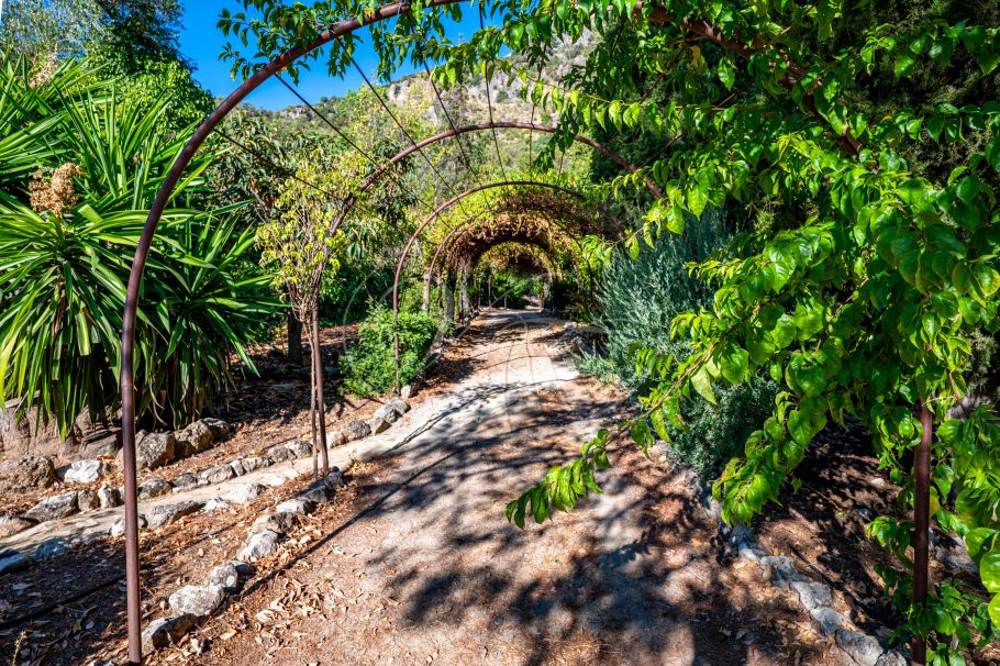 Stunning cortijo with Guest Houses and Rental Opportunity, Ronda