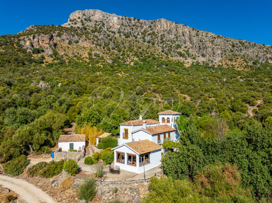 Stunning cortijo with Guest Houses and Rental Opportunity, Ronda
