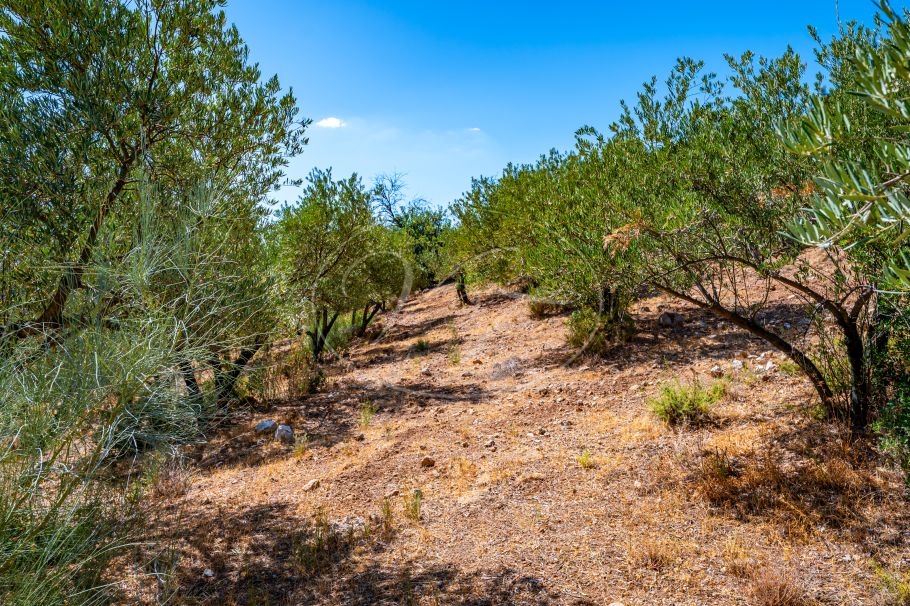 Stunning cortijo with Guest Houses and Rental Opportunity, Ronda
