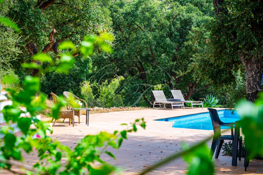 Charming Spanish Finca with Guest Cottage and Barn, Casares