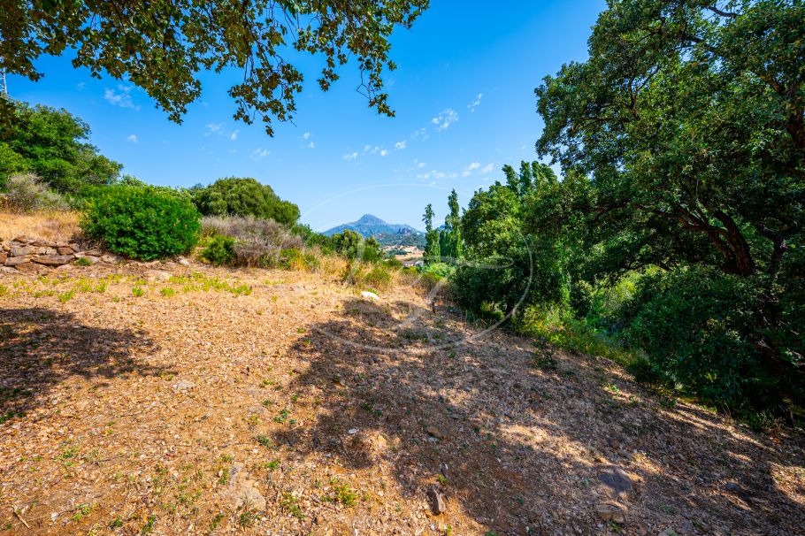 Charmante Spaanse Finca met Gastenverblijf en Schuur, Casares