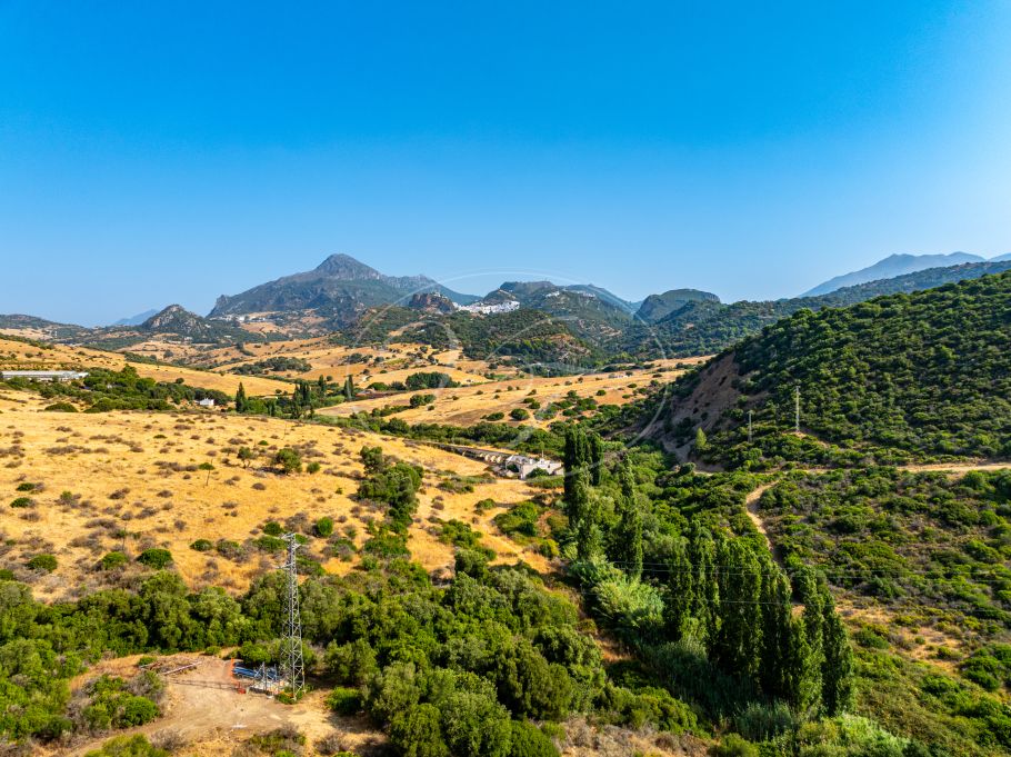 Charming Spanish Finca with Guest Cottage and Barn, Casares