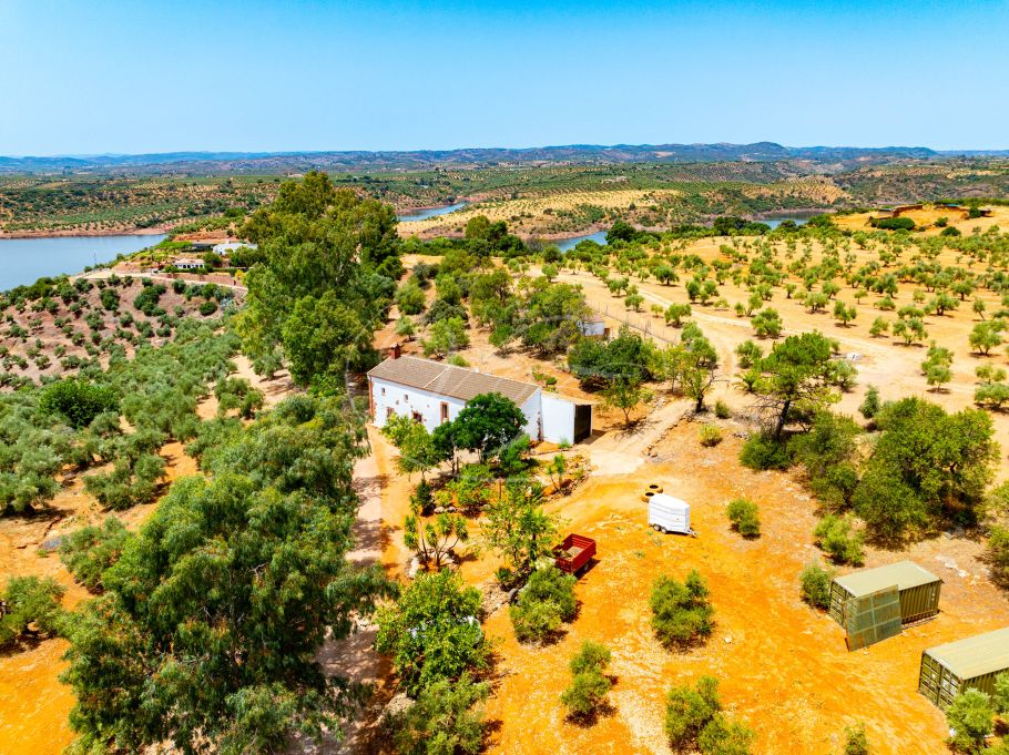 Luxury Cortijo with productive olive grove, Montoro