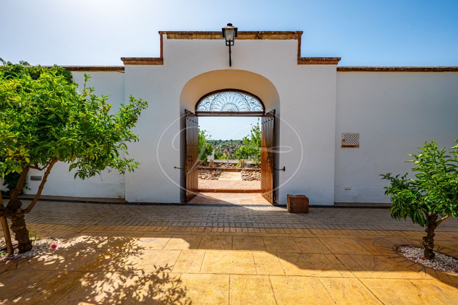 Luxury Cortijo with productive olive grove, Montoro