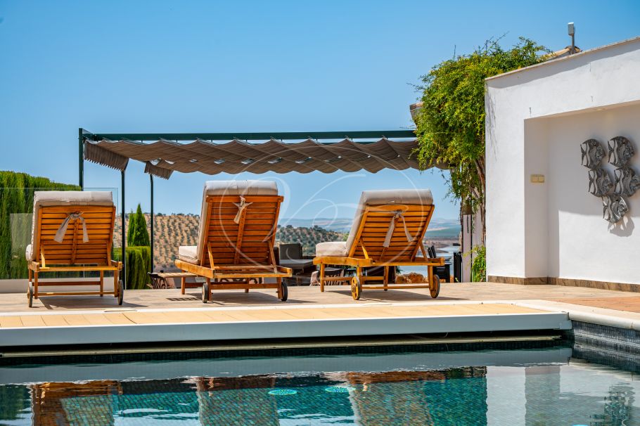 Luxury Cortijo with productive olive grove, Montoro