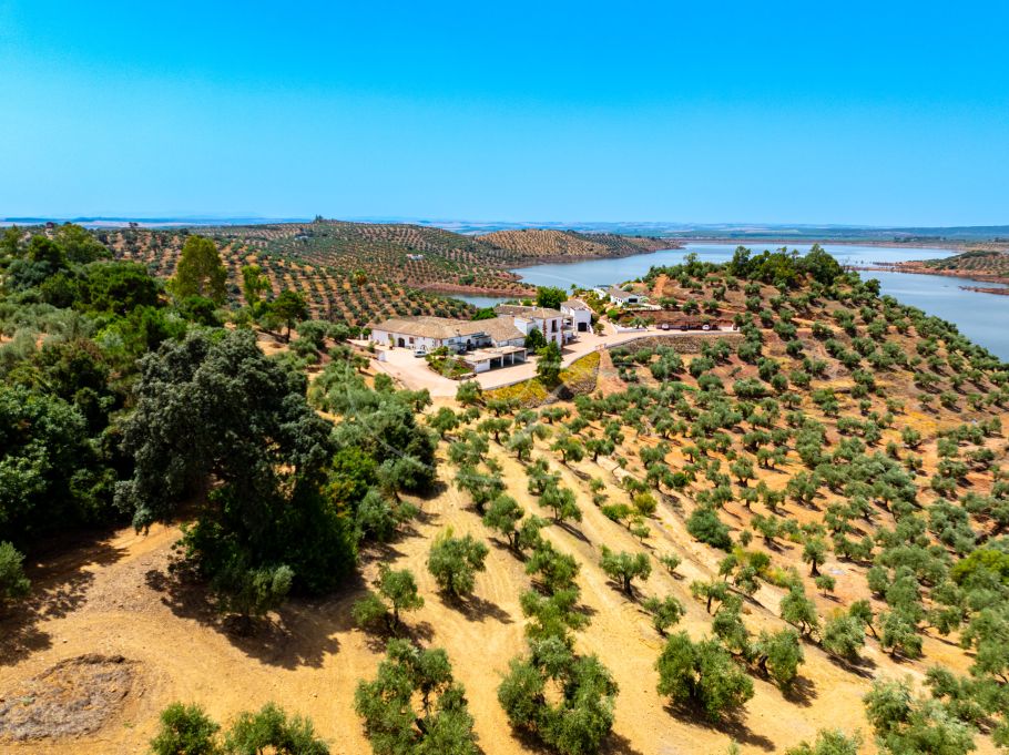 Luxury Cortijo with productive olive grove, Montoro