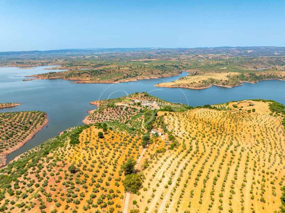 Luxury Cortijo with productive olive grove, Montoro