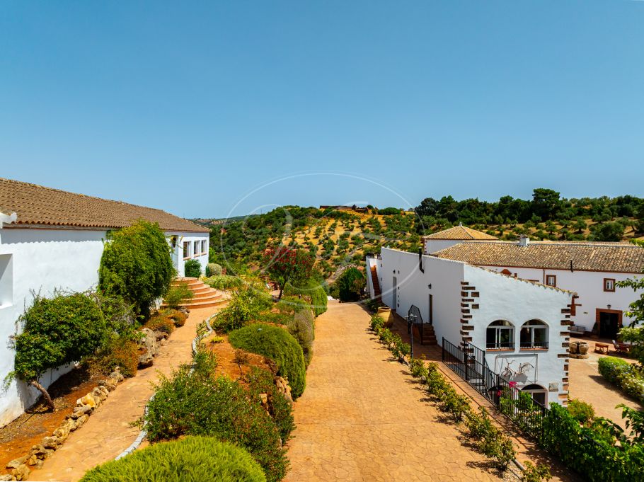 Luxury Cortijo with productive olive grove, Montoro
