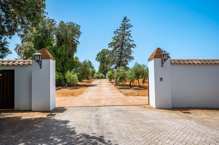 Luxury Cortijo with productive olive grove, Montoro