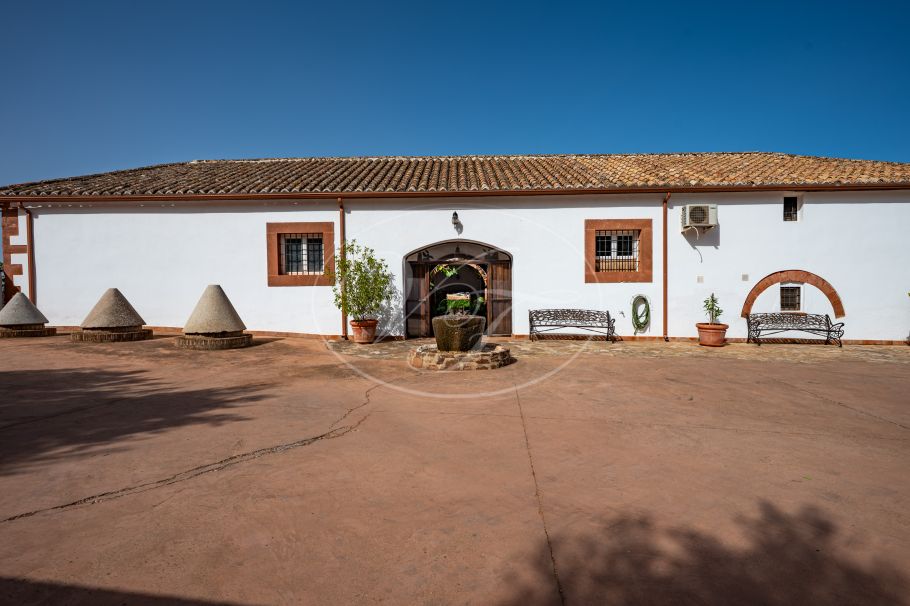 Luxury Cortijo with productive olive grove, Montoro