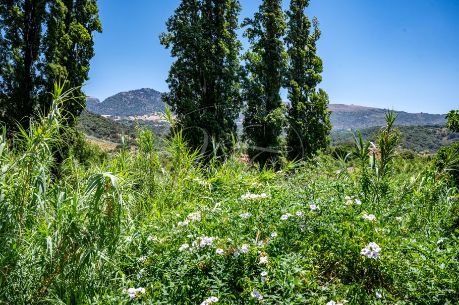 Charming Riverside Village House, Cortes de la Frontera