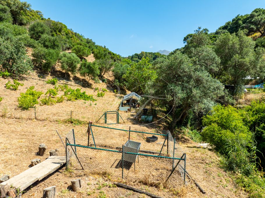 Authentic Finca with Large Plot of Land, Casares