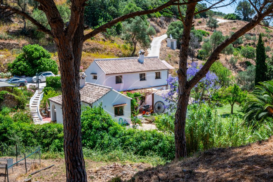Casares