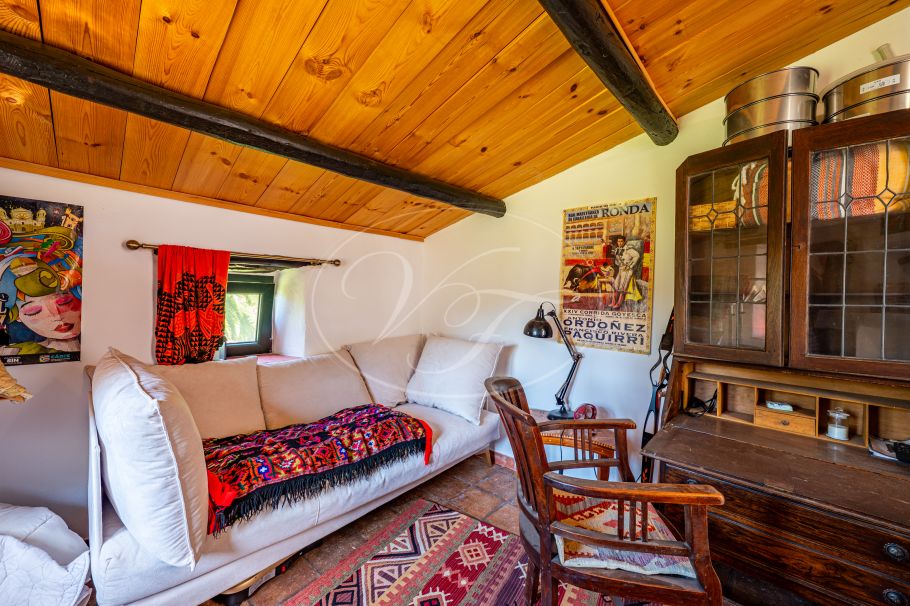 Authentic Finca with Large Plot of Land, Casares