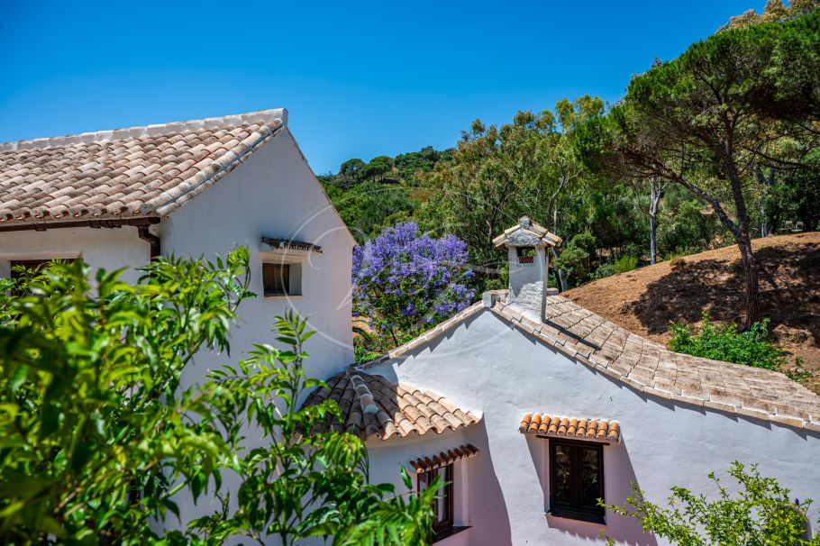 Authentic Finca with Large Plot of Land, Casares